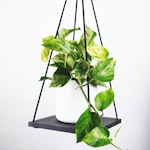 曼彻斯特联队红色主场球衣队徽特写